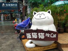 -张猫猫爱吃鱼
