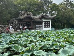 -无锡蠡湖国家湿地公园-蠡园