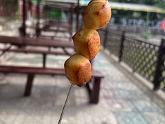 -尚庄度假村·庭台树下·户外烧烤·团建CS·轰趴营地(上庄水库店)