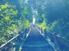 -江西阳明山国家森林公园