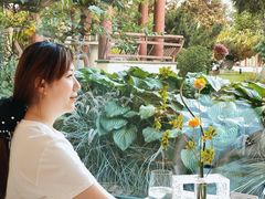 -九献私房菜(亮马河花园私宴店)