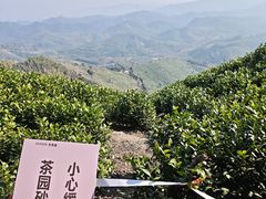 -莫干山风景区
