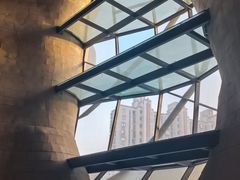 -证大喜玛拉雅中心