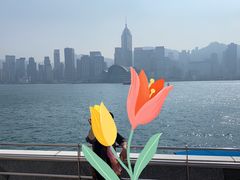 -维多利亚港