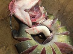 -云中鱼蒸汽石锅鱼(川沙百联店)