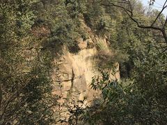 -缙云山景区