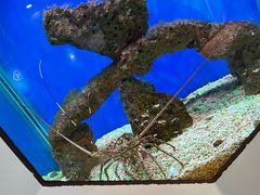 -海合安武汉极地海洋公园