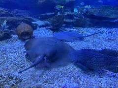 -海合安武汉极地海洋公园