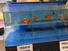 -谭三娘鲜切牛肉自助火锅(九眼桥总店)