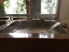 -台北北投丽禧温泉酒店