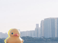 -深圳人才公园
