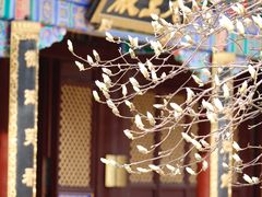 -护国法轮寺