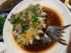 -金龙寨(解西店)