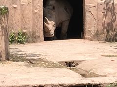 -重庆动物园·东二门售票处