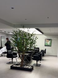 点击看大图 -付军剪艺JF ProSalon