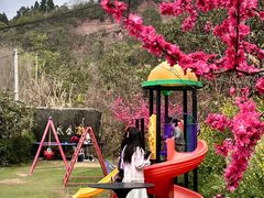 -桃源山庄·水蜜桃采摘·柴火鸡·烧烤团建(龙泉山店)