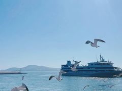 -海驴岛(荣成市)