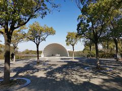 -上海吴淞炮台湾国家湿地公园