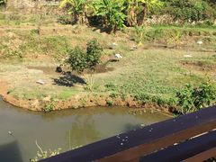 -泉州海丝野生动物世界