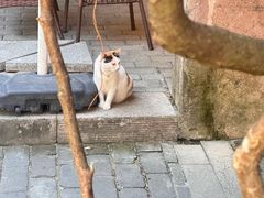 -鹅滋道(甘坑古镇店)