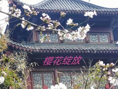 -堤角公园