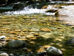 -青峰峡国家森林公园