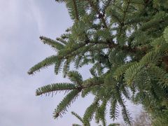 -沈阳植物园