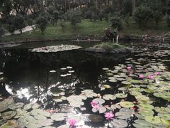 -深圳国际园林花卉博览园