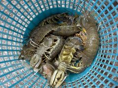 -新享乐海鲜(翠华路店)