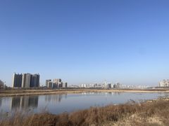 -瀛洲公园