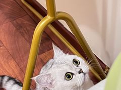 -惠康宠物医院(华能路店)