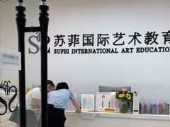 -苏菲艺术教育·芭蕾·钢琴(宝安碧海中心校区)