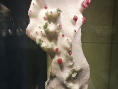 -中华赏石园