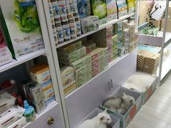 零售区-喵的天空名猫咖啡馆·撸猫·猫舍·用品