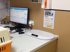 -瑞派康怡24h宠物医院·犬猫医疗中心·微创绝育(瑞景分院)