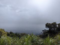 -广州市帽峰山景区