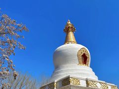 -护国法轮寺