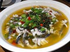 -三猫黑鱼花(南大店)