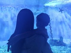 -太平洋海底世界