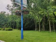 -棒棰岛宾馆景区