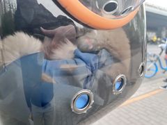 -北京恒爱动物医院(清景园分院)