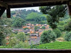 -杨家堂村