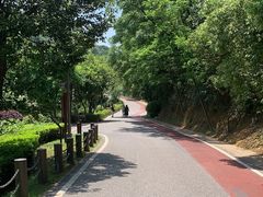 -桃花岭景区
