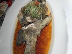 -津禧荟·酥皮烤鸭(北辰店)