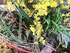 -海立阁海鲜江浙菜(漕河泾印象城店)