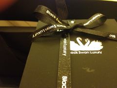 iphone_upload_pic-BLACKSWAN黑天鹅(环球店)