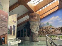 -延庆地质公园博物馆