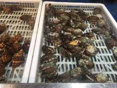 鲍鱼-盒马鲜生(昆城店)