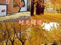 -艾山风景名胜区