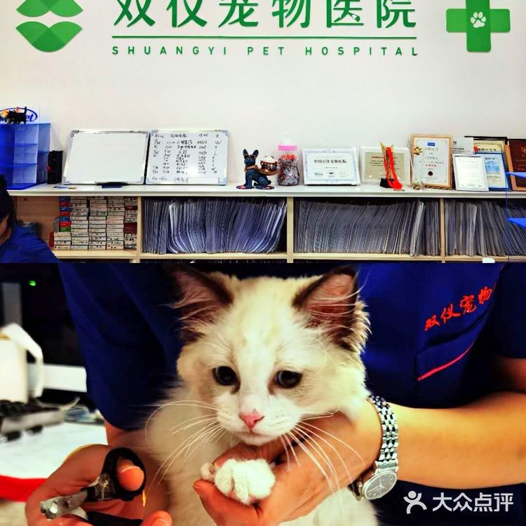 上海宠物医院推荐～为毛孩子寻找一家好口碑专业度高的医院